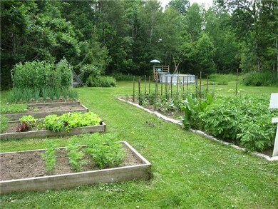 Yard/Garden.