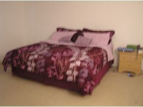 196 River Park Blvd, Titusville, FL 32780 - photo 7