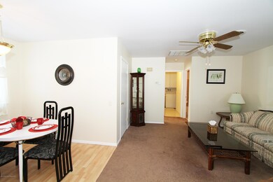 Combo View Dining-Living Room