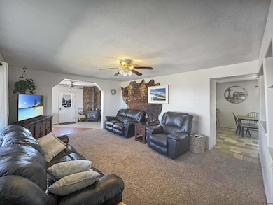 13075 County Road Ee, Pleasant View, CO 81331 - photo 7