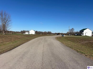 168 Owl Creek Dr, Vine Grove, KY 40175 - photo 4