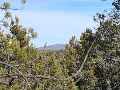 7310 Red Feather Ct, Happy Jack, AZ 86024 - photo 5