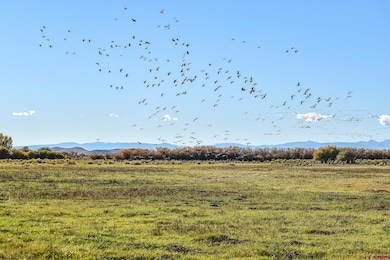 0 County Road 15 5, Blanca, CO 81123 - photo 3