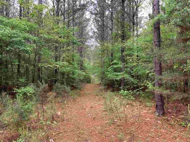 0 Palm Hill Rd unit 1340275, Brandon, MS 39042 - photo 3