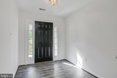 113 Lavenport Cir, Frederick, MD 21702 - photo 4