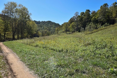 0 E Esculapis Fork Rd unit 25018893, Vanceburg, KY 41179 - photo 5