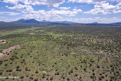 12080 N Buckbrush Cir, Prescott, AZ 86305 - photo 4