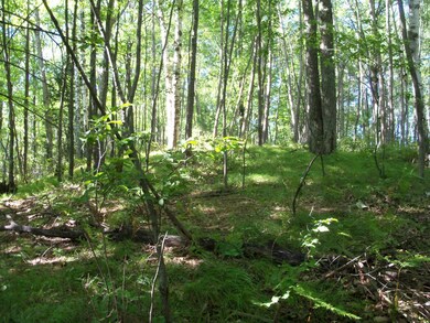 W8092 Cth O, Tomahawk, WI 54487 - photo 6