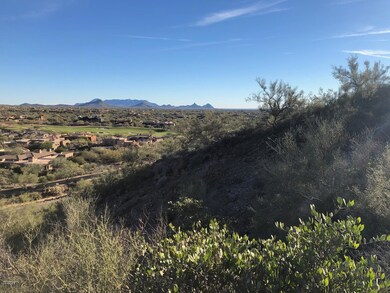 Pinnacle Peak Views
