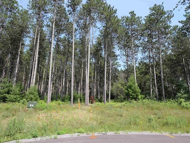 Lot 6 Two Sisters Ct, Stevens Point, WI 54482 - photo 2