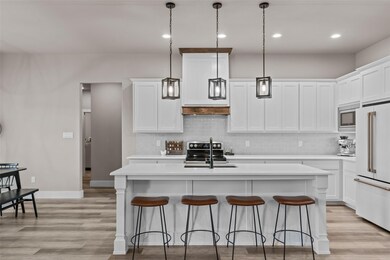 443 Sarra Ln, Poolville, TX 76487 - photo 6