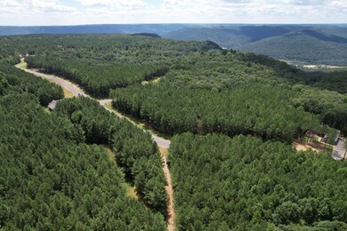 5-web-or-mls-DJI_0303