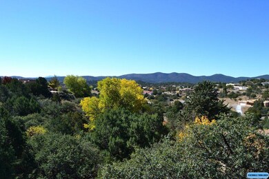 4585 N Shadow Mountain Rd, Silver City, NM 88061 - photo 4