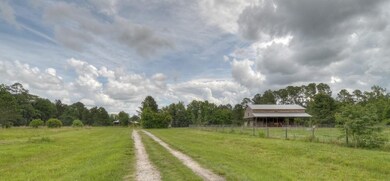 The barn stalls open to large pasture