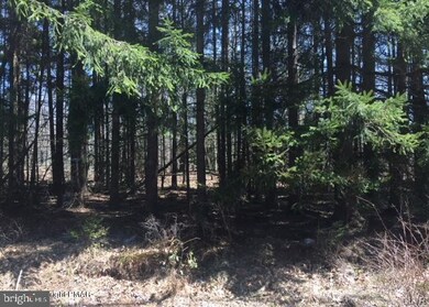 130 Bluebell Ln, Jim Thorpe, PA 18229 - photo 2