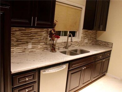 New Granite Counter top and custom backsplash, new