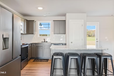 719 New Daniels Chapel Rd, Fremont, NC 27830 - photo 3