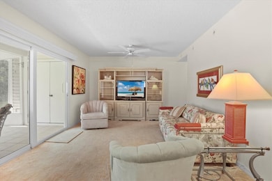 Living Room - Another View