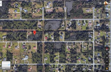 #31a Moorgate St, Wedgefield, FL 32833 - photo 4