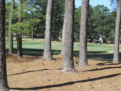 Golf View
