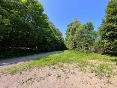 VL Ritter Hollow Rd, New Albion, NY 14719 - photo 2