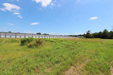 4025 Dave Ward Dr, Conway, AR 72034 - photo 4