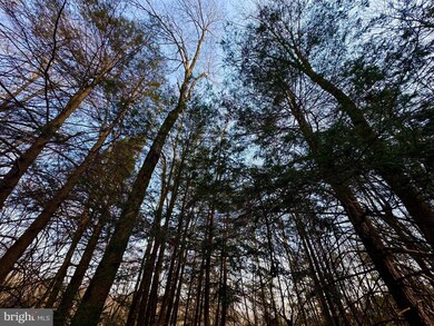 Lot 30 Wild Flower Way, Albright, WV 26519 - photo 7