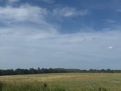 TBD Mitchell Hill Rd, Gordon, TX 76453 - photo 6