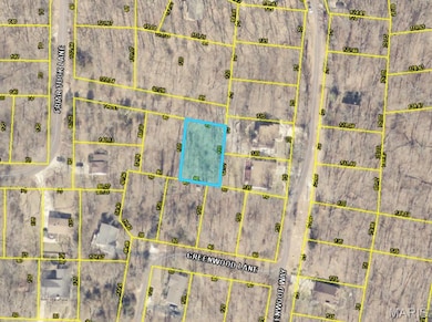 545 Friar Tuck Ct, Charrette Township, MO 63357 - photo 2