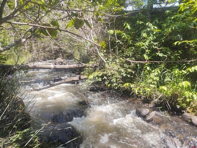 21613 2300 Rd, Cedaredge, CO 81413 - photo 4