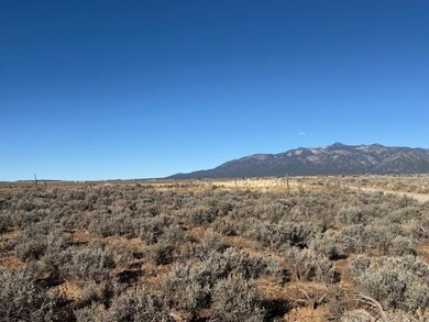 107215326 Valencia Rd, El Prado, NM 87529 - photo 6