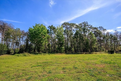 6161 Grosvenor Shore Dr, Windermere, FL 34786 - photo 6