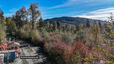 34700 SE 99th St, Snoqualmie, WA 98065 - photo 7