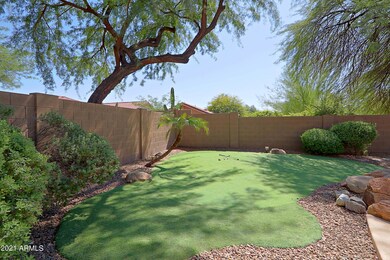 Backyard 3