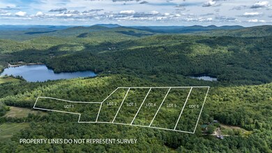TBD Youngs Rd, Eaton, NH 03849 - photo 2