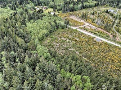 1121 W Highland Rd, Skok, WA 98584 - photo 7