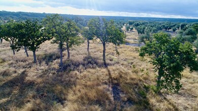 290 Stallion Dr unit 139, Harper, TX 78631 - photo 4