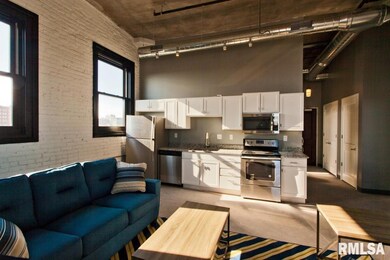 511 Pershing Ave unit 201 W, Davenport, IA 52803 - photo 3