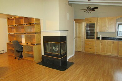 wet bar, refrigirator, & fireplace