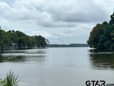 Lot 43 Oak River, Frankston, TX 75763 - photo 2