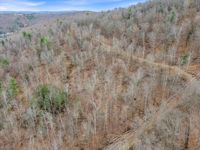 14 College View Rd, Dickinson, NY 13905 - photo 4