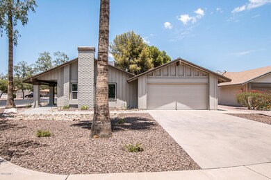 Pecan Cir-2
