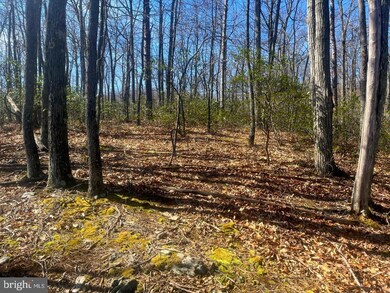 0 Tract 10 Lost River Bluffs unit WVHD2001350, Mathias, WV 26812 - photo 4