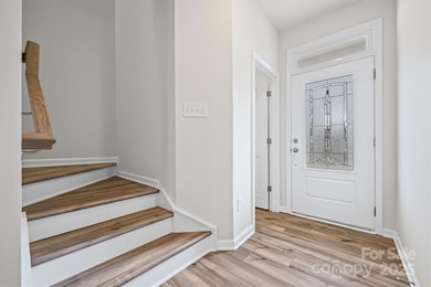 5038 Moss Pine Way, Tega Cay, SC 29708 - photo 3