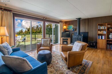 594 Hapapa Rd, Kula, HI 96790 - photo 4