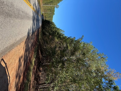 0 Turner Rd, Dadeville, AL 36853 - photo 7