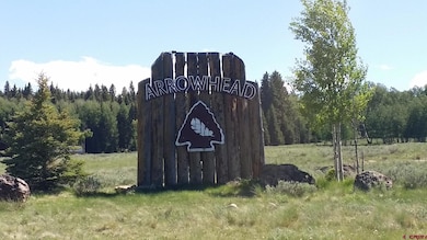 282 Aspen Trail, Cimarron, CO 81220 - photo 6