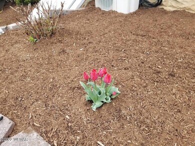 plantings and mulching