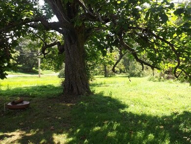 9815 Gore Greendale Rd, Logan, OH 43138 - photo 5