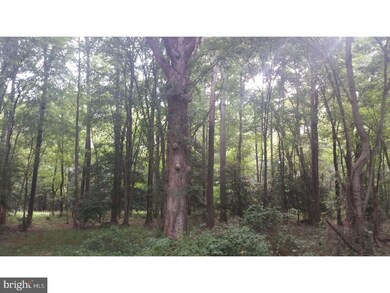 25 Acre Andrewville Rd, Harrington, DE 19952 - photo 6